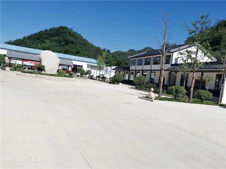 果園風(fēng)光